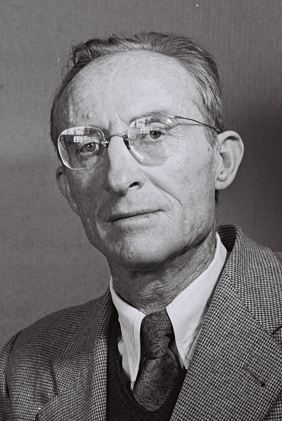 Tamir Greenberg