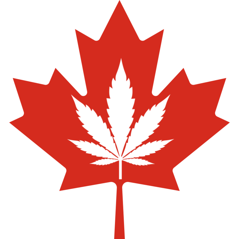 Tammy Jarbeau