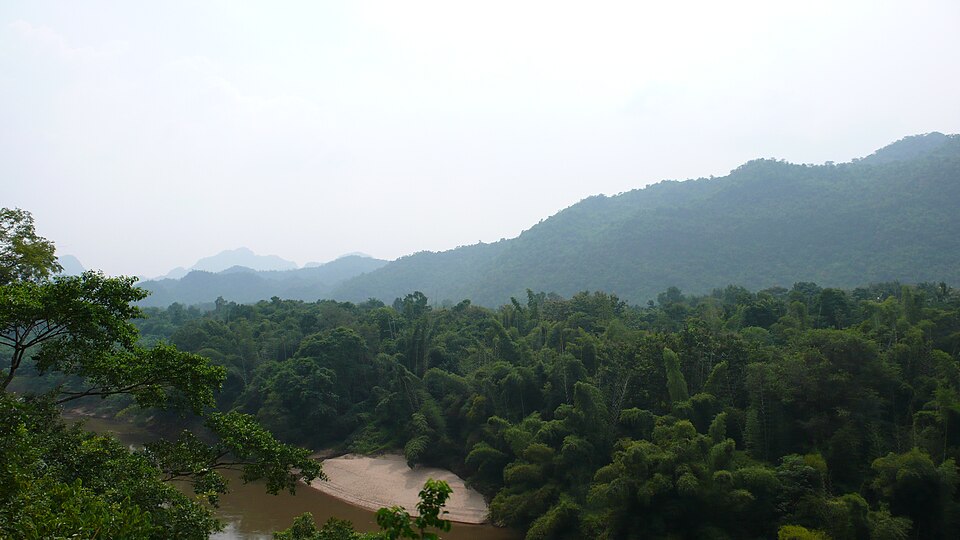 Tanah Cassell