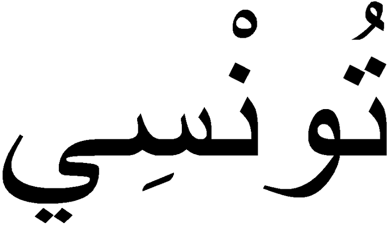 Taoufik Ayadi