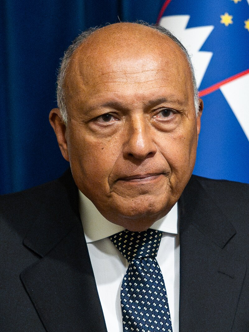 Tarek Shoukry