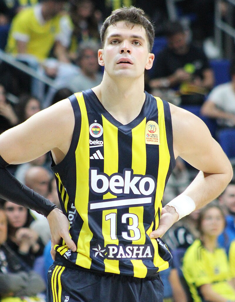 Tarık Biberoviç