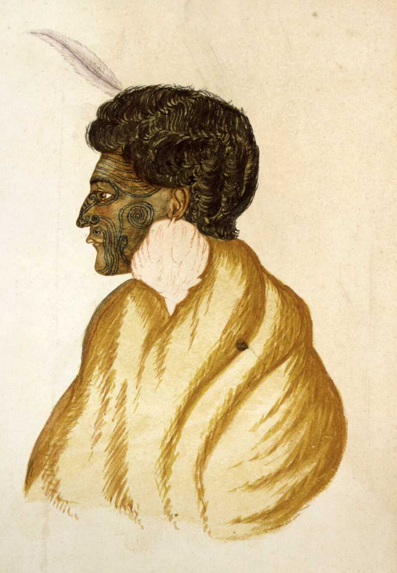 Te Rauparaha
