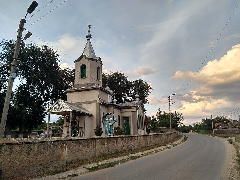 Teodor Vicol
