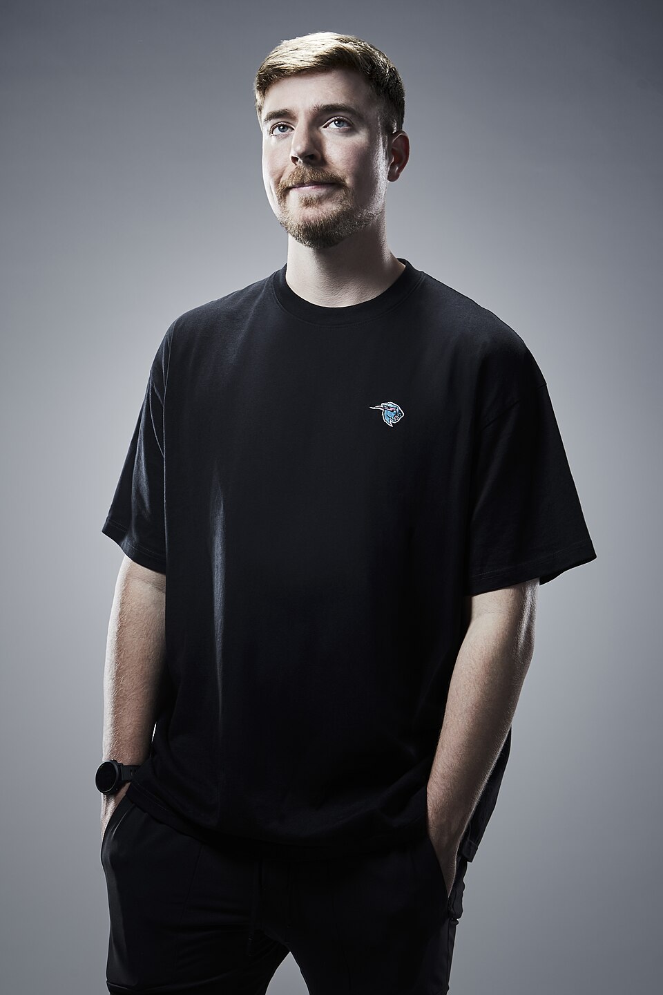 the content creator