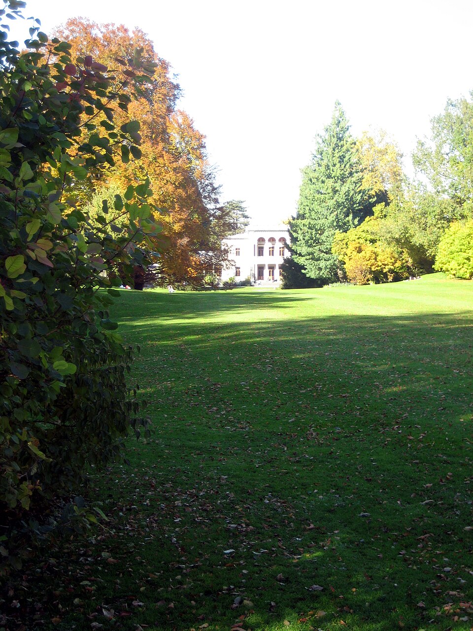 Theodor Froebel