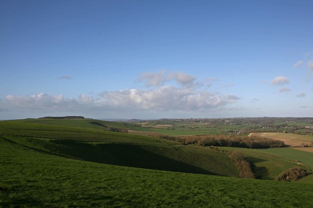 Thomas Vale