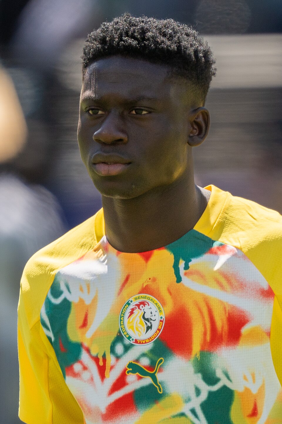 Three Senegalese Nationals