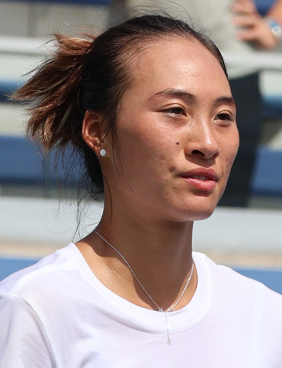 Tie Zheng