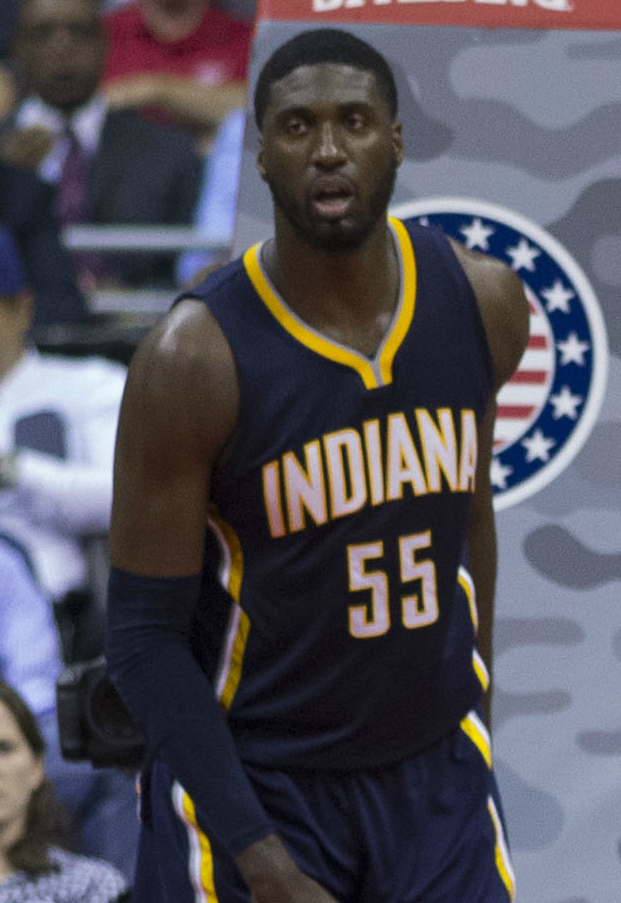 Tim Hibbert