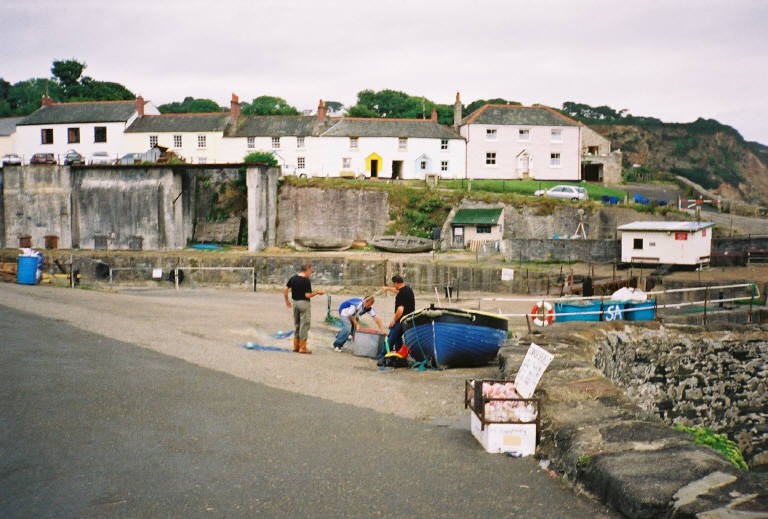 Tim Polmear
