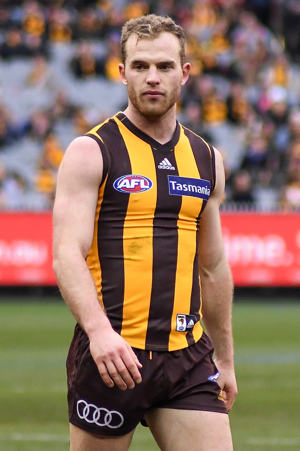 Tom Hawthorn
