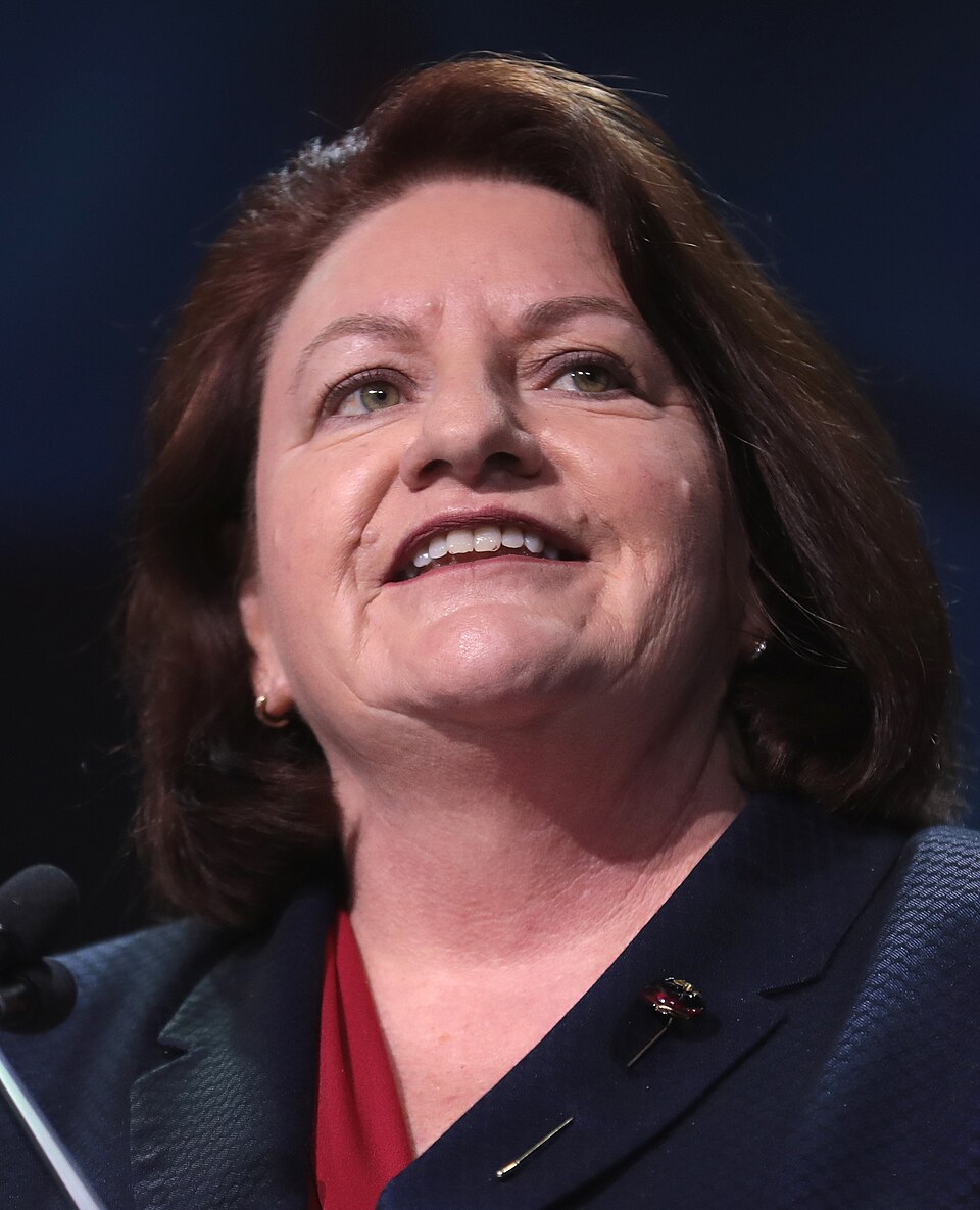 Toni Meadows