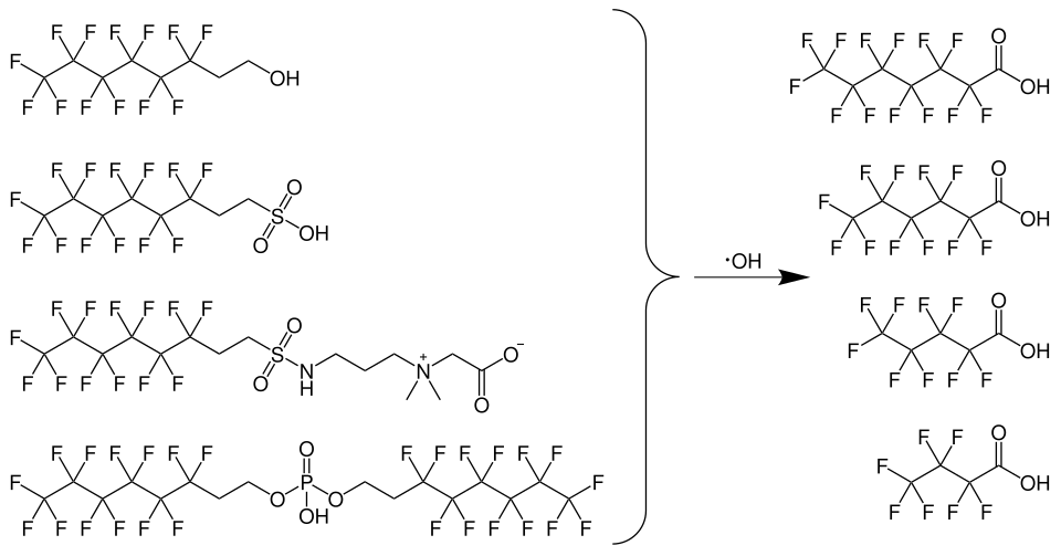 Torkjel Sandanger