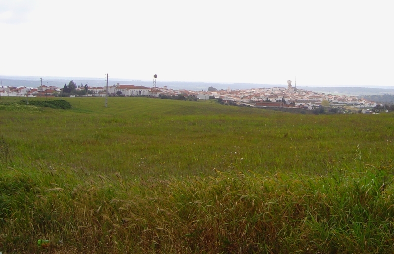 Torrão