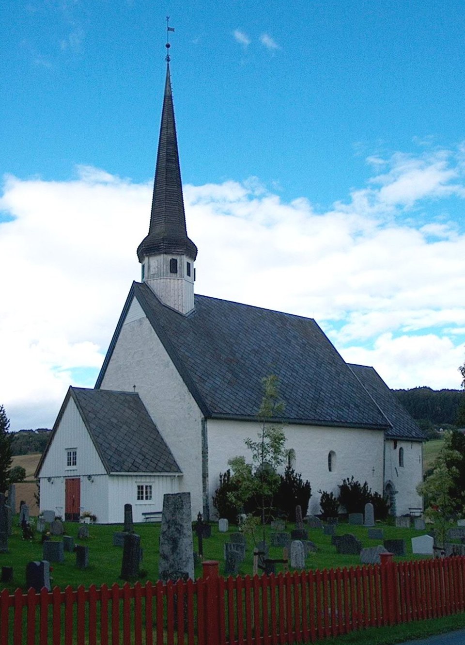 Tove Saltnes