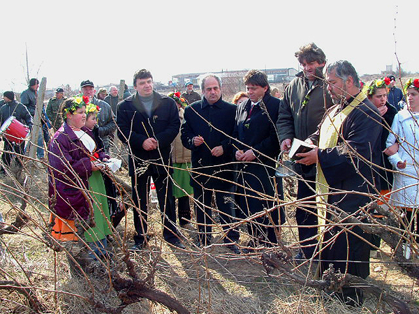 Trifon Zarezan