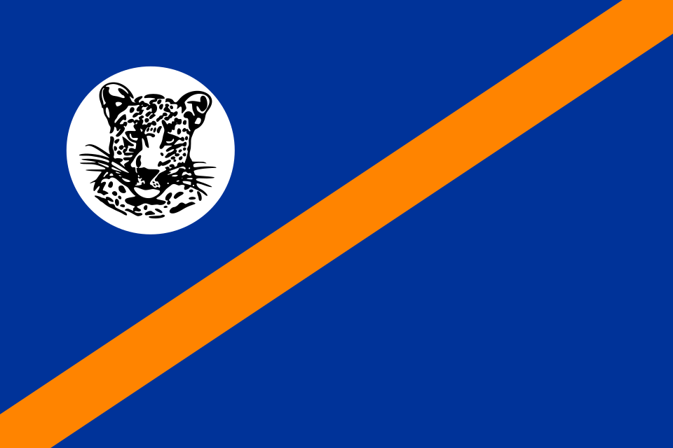 Tshepo Mabopane