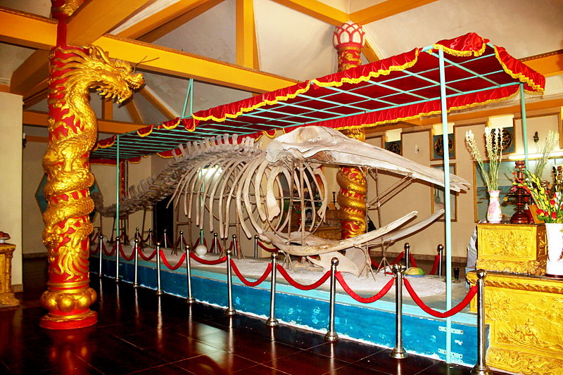 Tu Nghinh