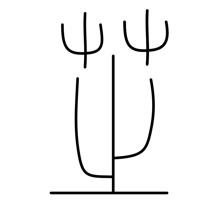 Tu Shouzhong
