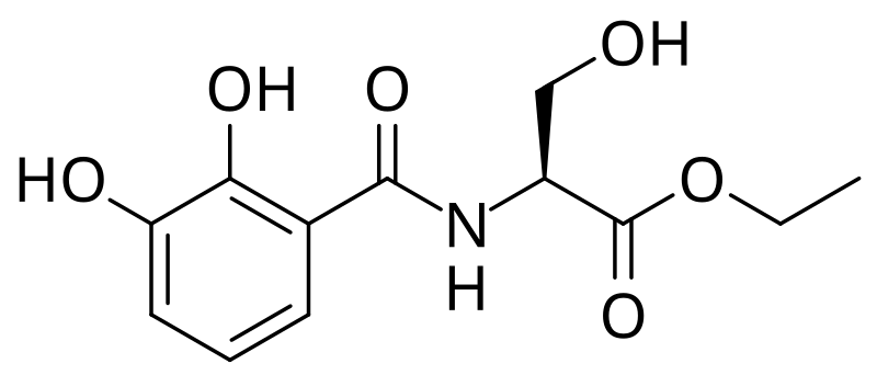 Tu Yonghong