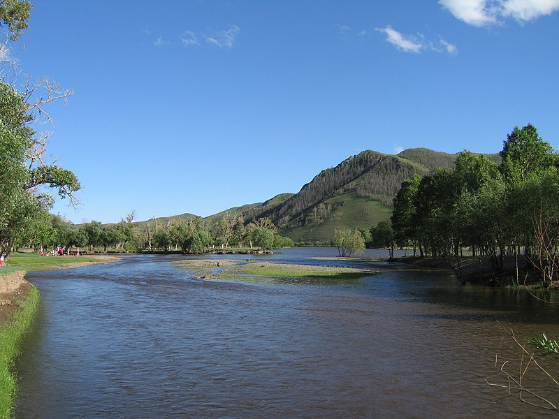 Tuul