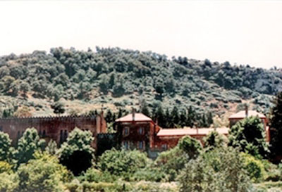 Unknown Algerian Brother 3