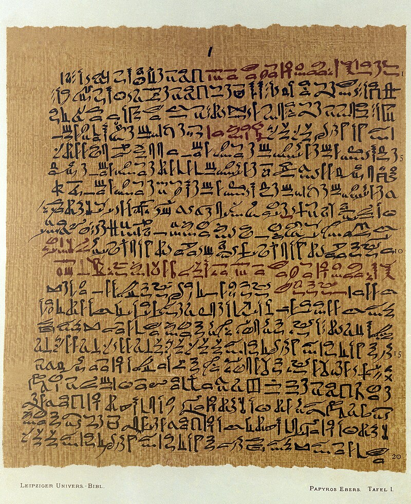 Unknown Egyptian Man