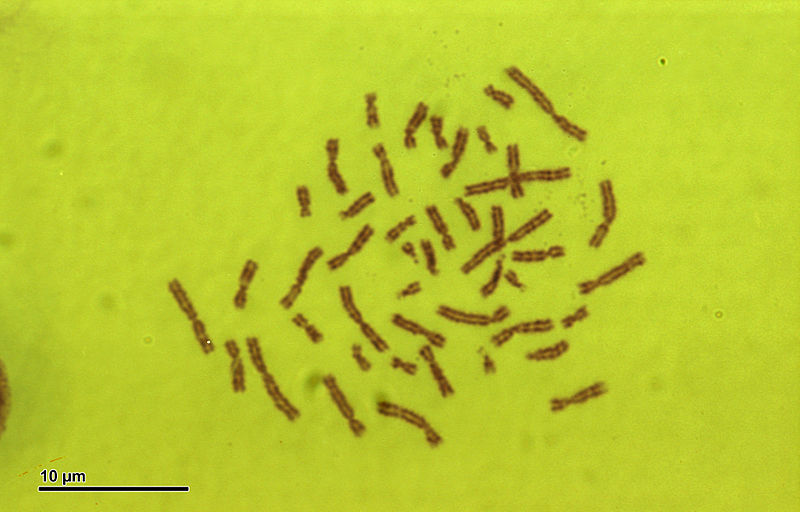 Unknown Male Individual