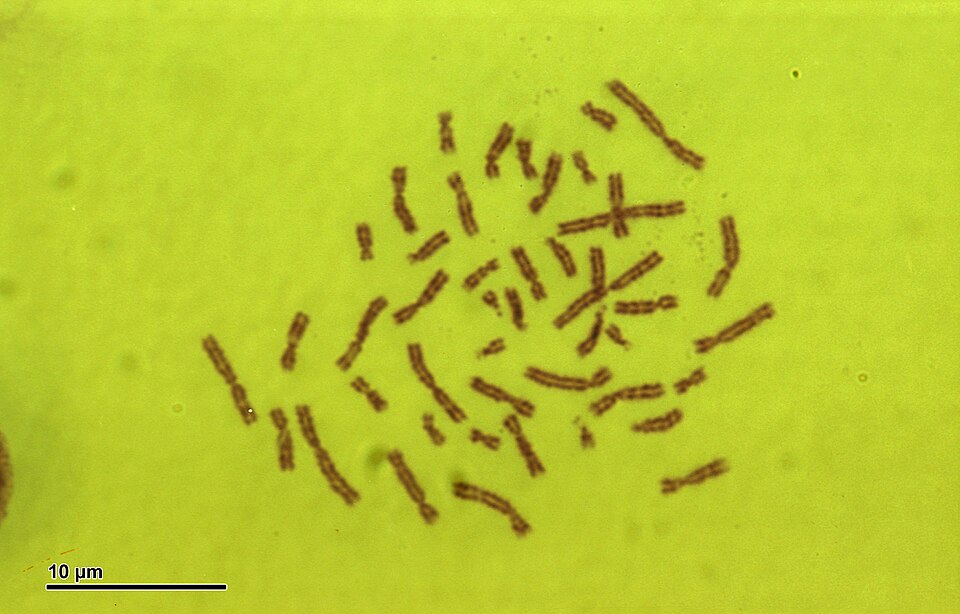 Unknown Male Patient 2