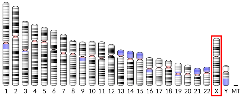 Unknown Male Patient Transporter