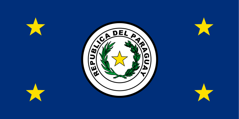 Unknown Paraguayan