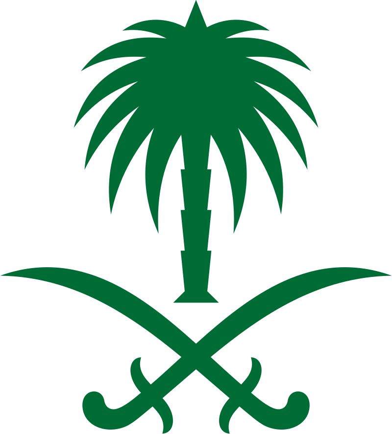 Unknown Saudi Woman