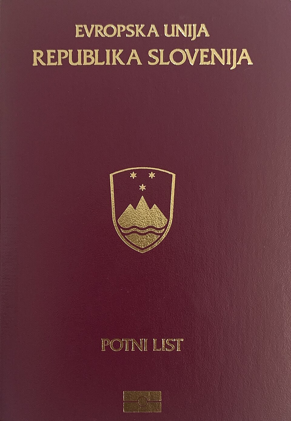 Unknown Slovenian Citizen 1