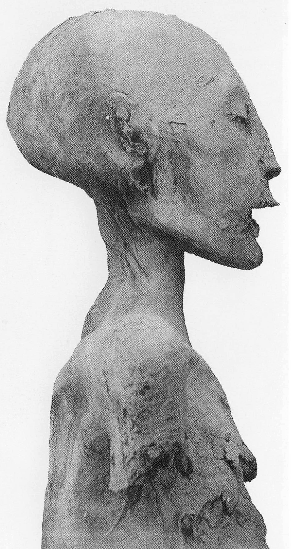 Unknown Young Lady
