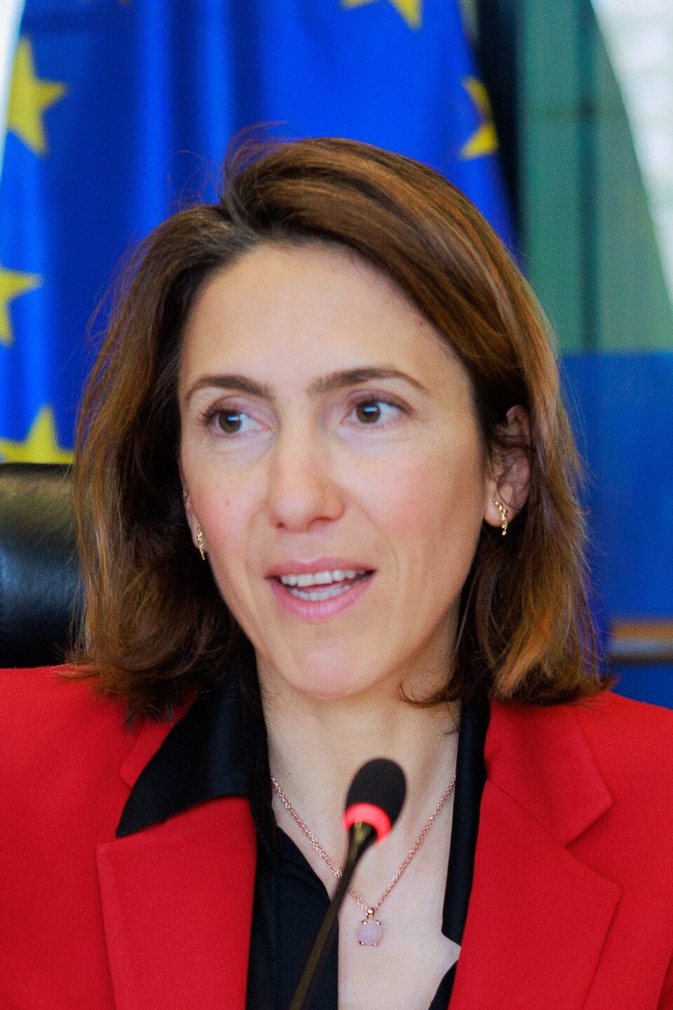 Valeri Hayer