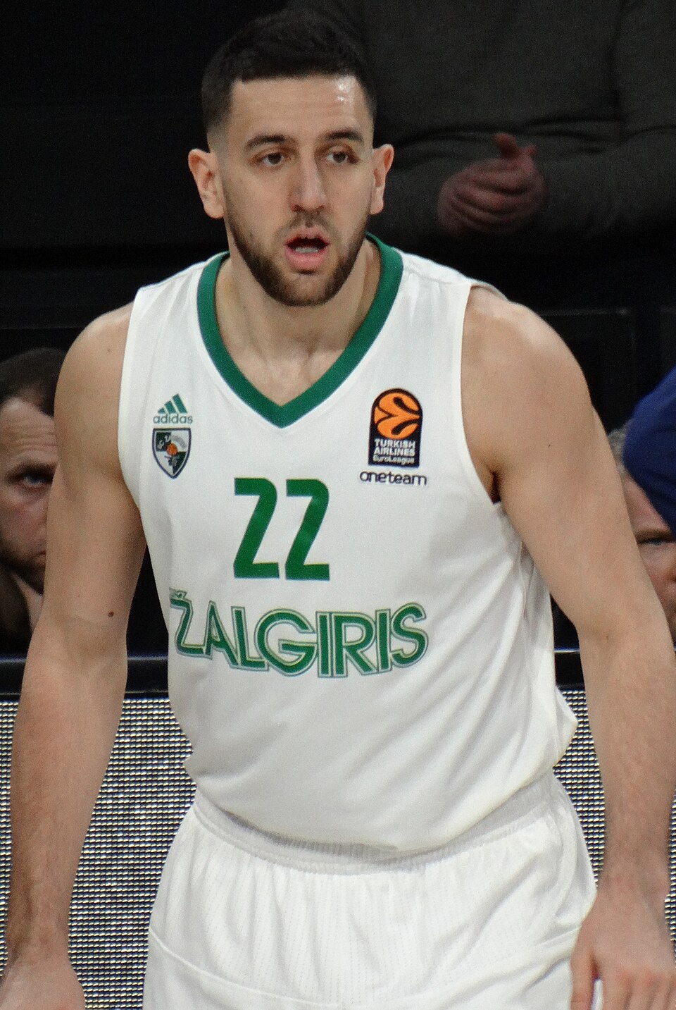 Vasa Micić