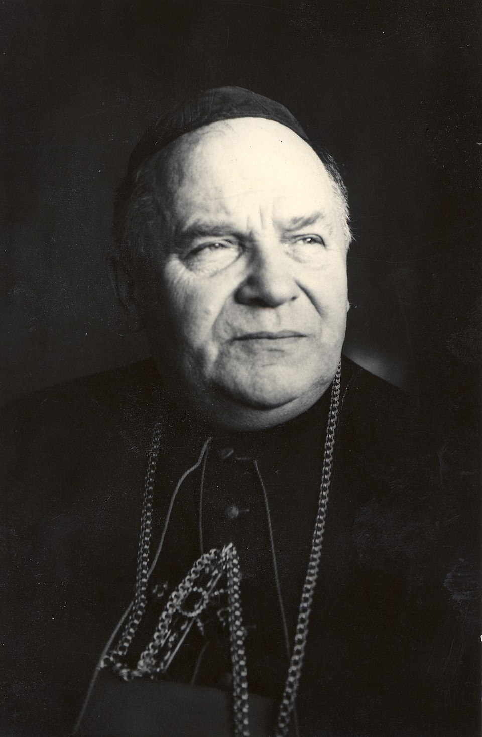 Vasiľ Hopko