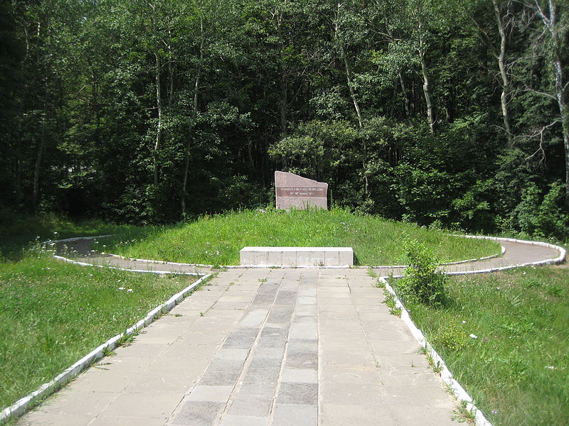 Vasiliy Medvedev