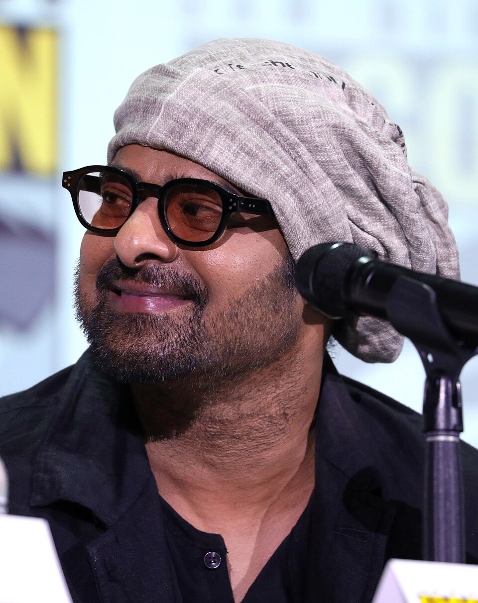 Venkata K Narayana