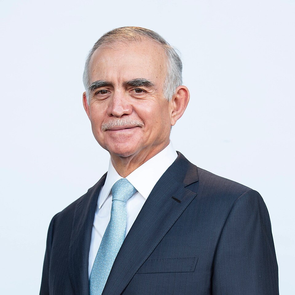 Vicente Alfonso