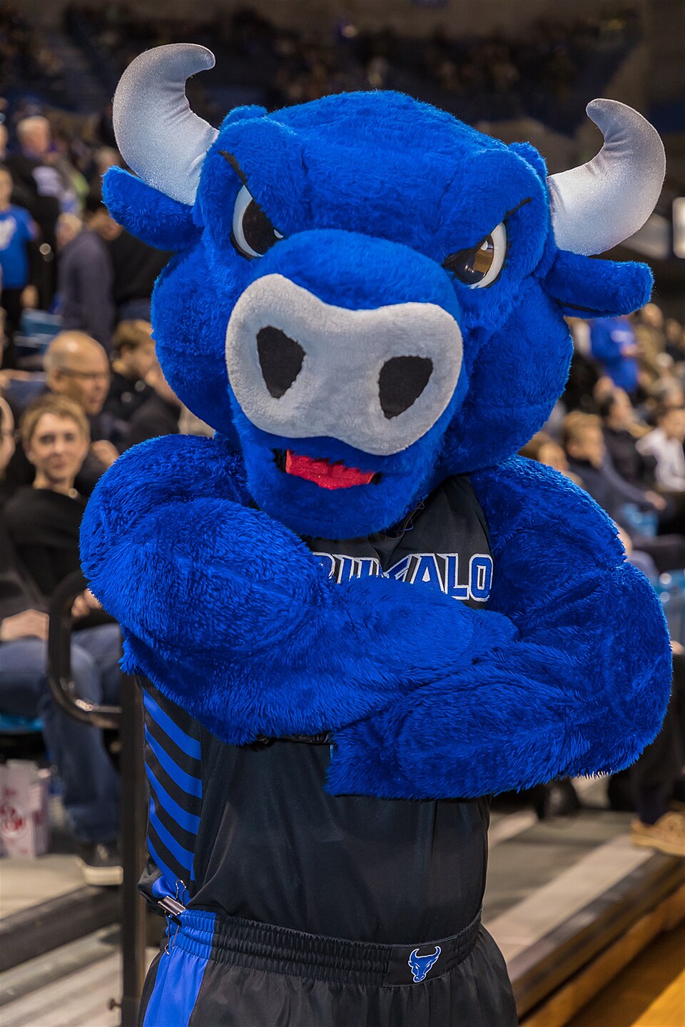 Victor Bull
