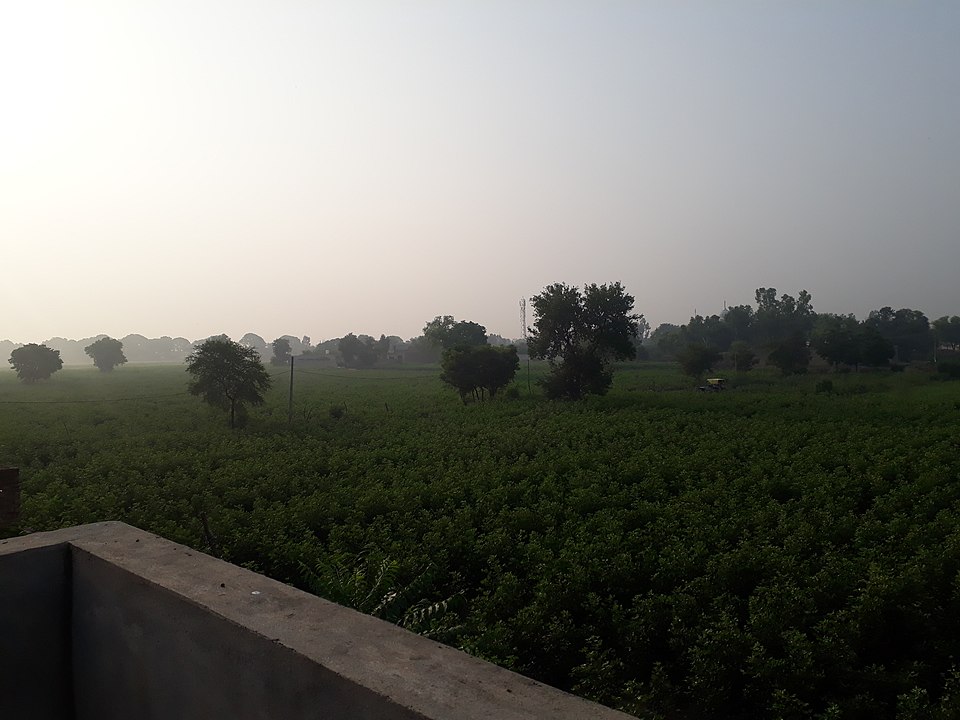 Vikram Punia