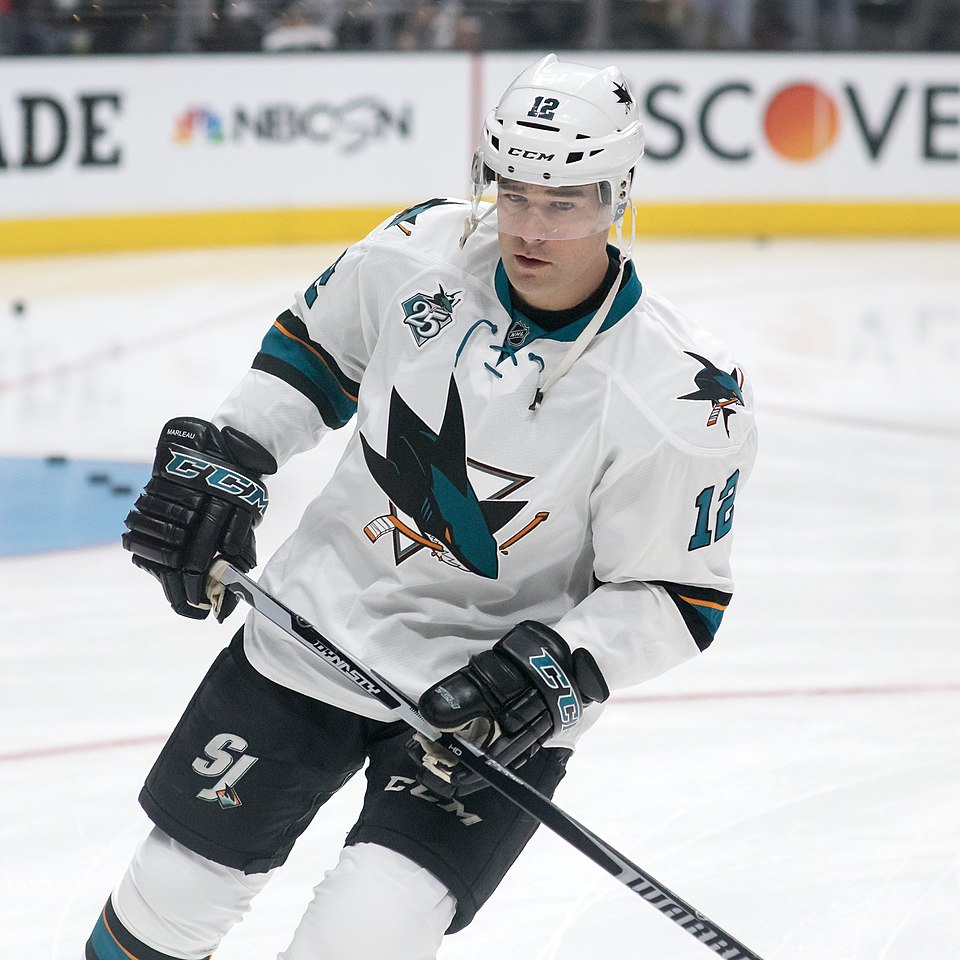 Vincent Marleau