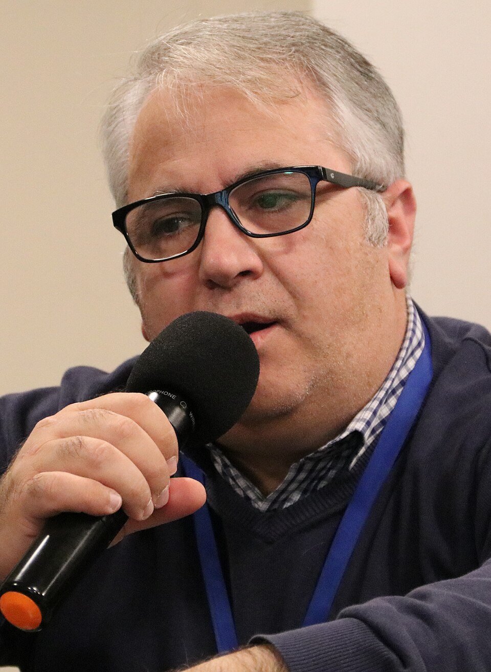 Viorel Badea