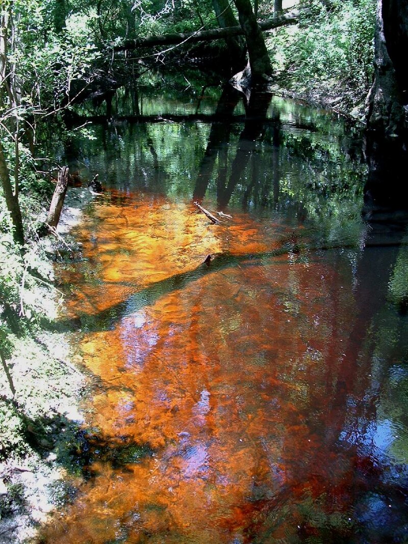 Virginia Miriti