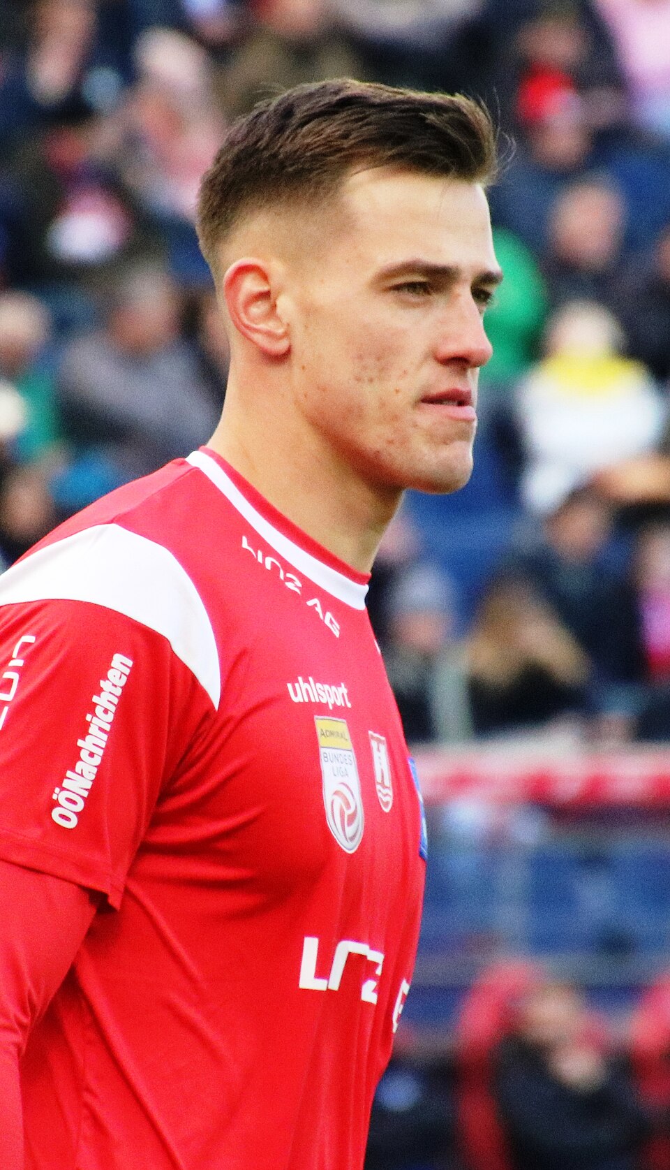 Vitek