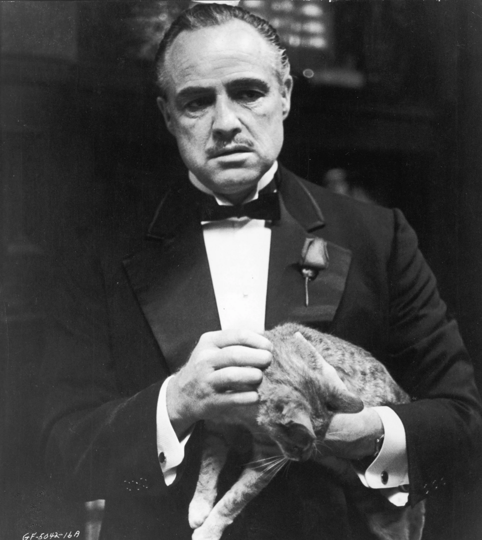 Vito Kills