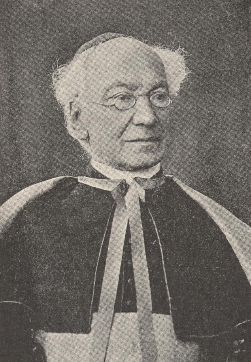 Vitória Buzzi