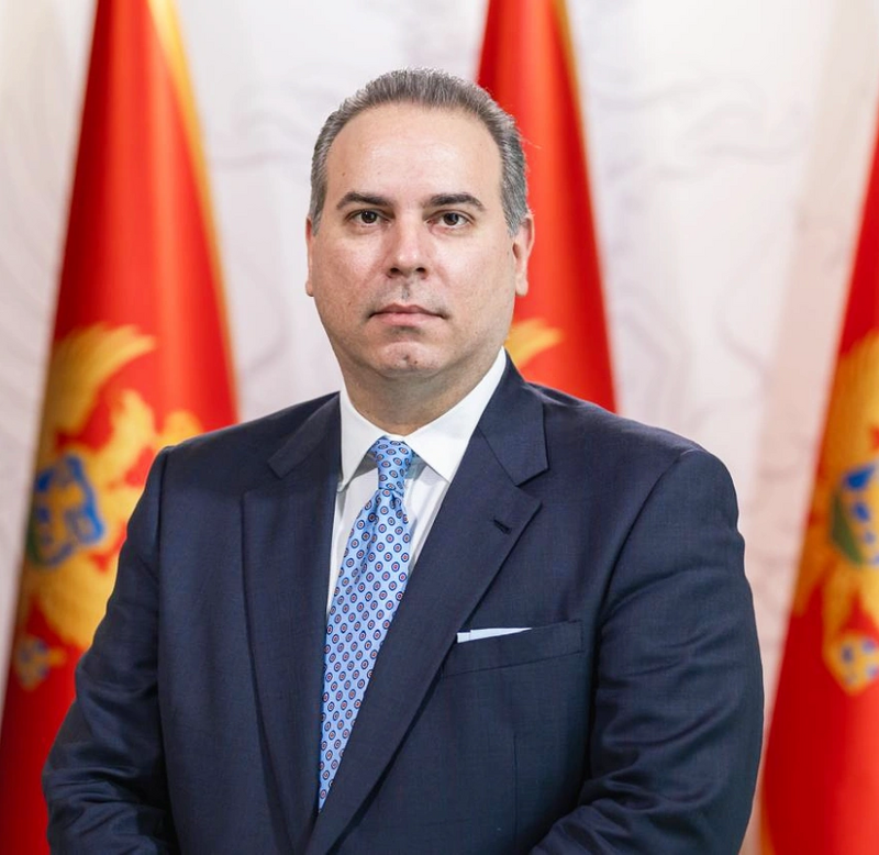 Vlada Ivanović